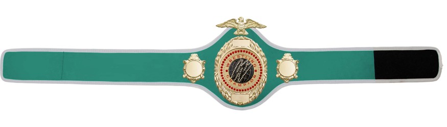 PRO288/G/WRESTGEMG - AVAILABLE IN 10 COLOURS PRO288/G/WRESTGEMG - AVAILABLE IN 10 COLOURS